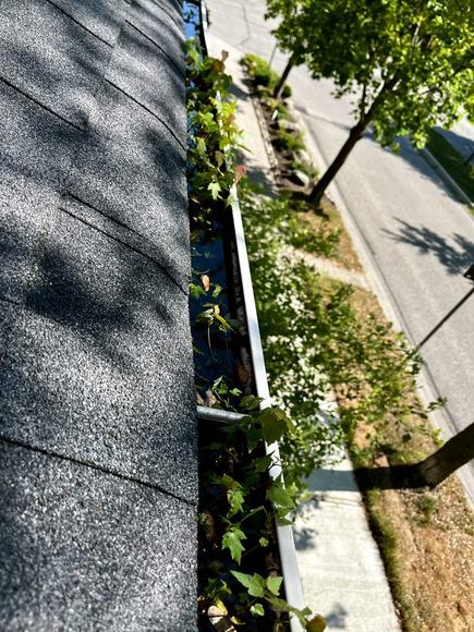 Gutter clogged with leaves and debris before cleaning