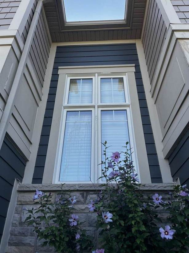 Streaky upper window before cleaning, framed by flowering shrub
