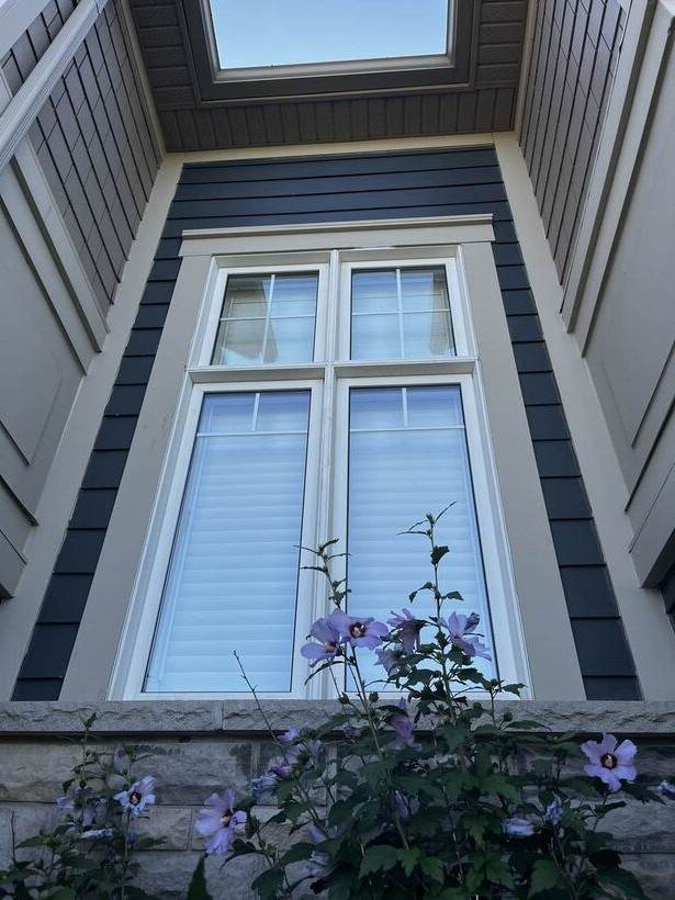 Streak-free upper window after cleaning, framed by flowering shrub